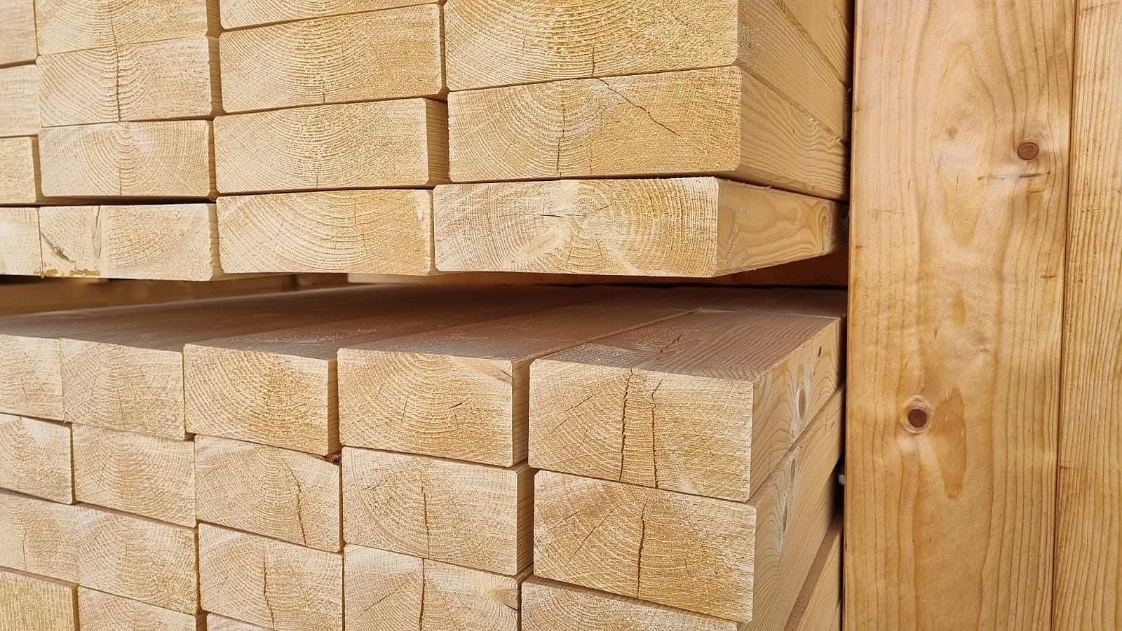 startseite-sektion3-img-20210816-wa0006